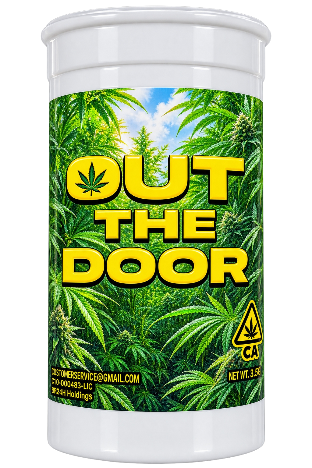 OUT THE DOOR HAZE FLOWER - 3.5 g - 1/8oz in Woodlake