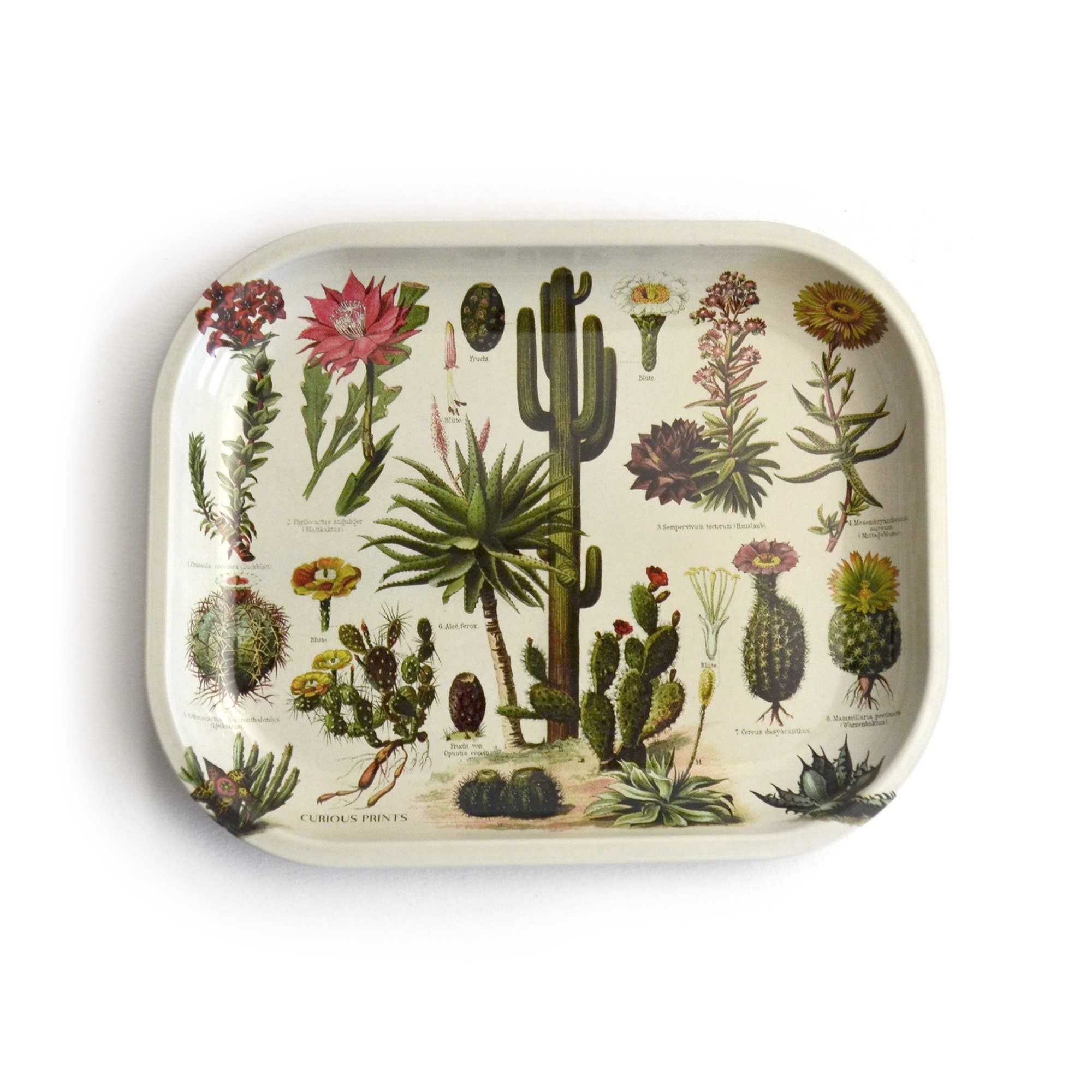Rolling Tray | Vintage Cacti 