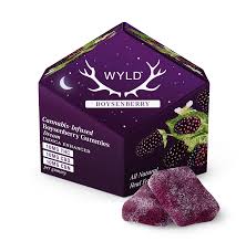 BOYSENBERRY