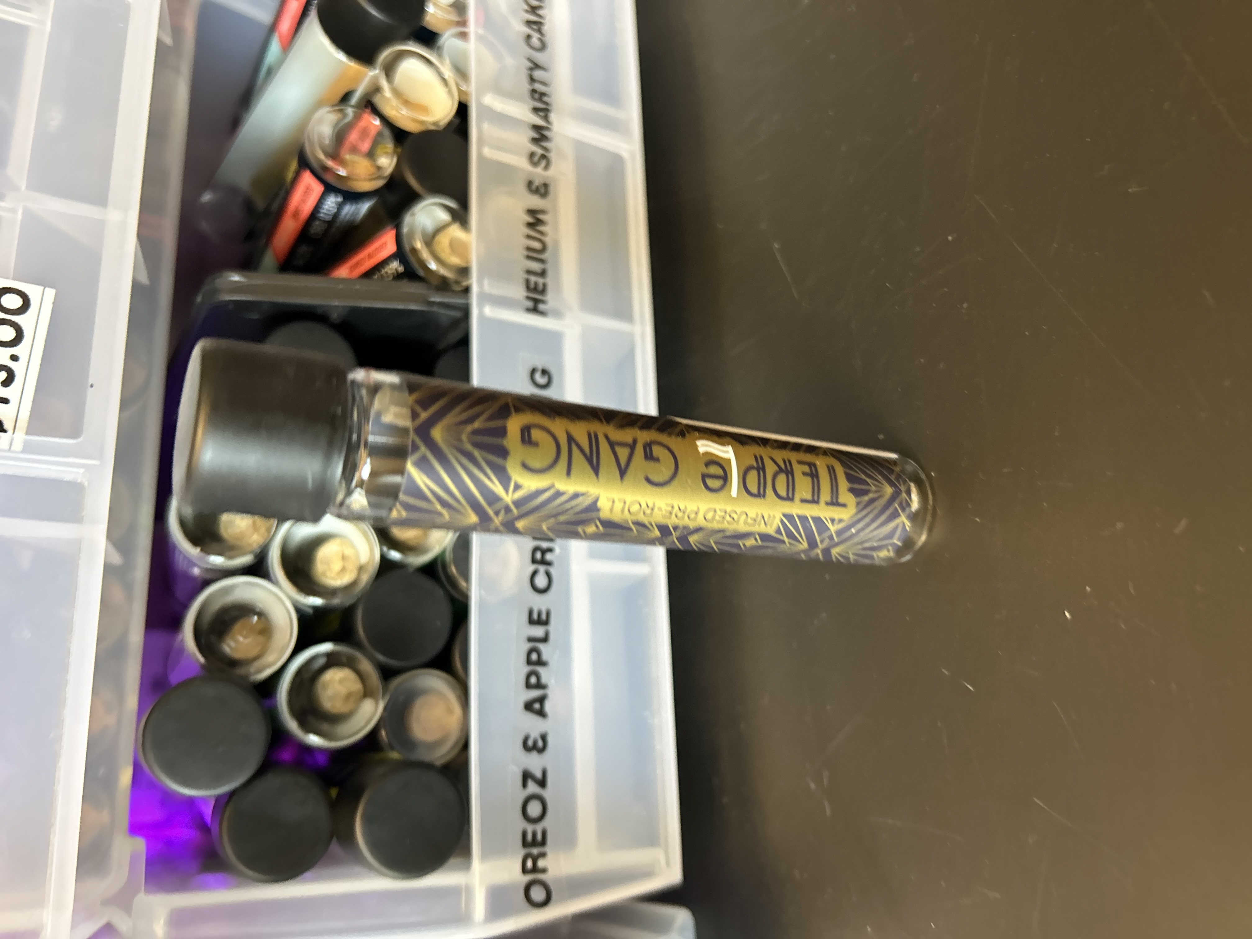 TERPLE GANG | ROCKET FUEL X GARLIC JUICE | 1.25G PREROLL