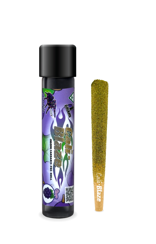 GRAPE | TARANTULA