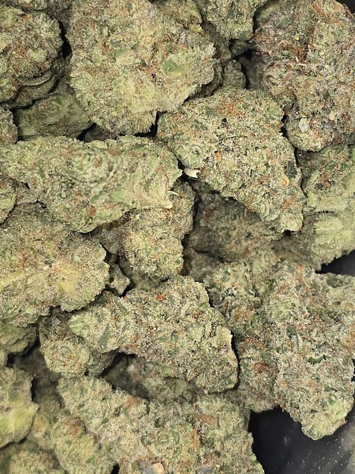 GUAVA BARZ