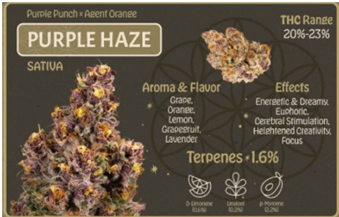 PURPLE HAZE