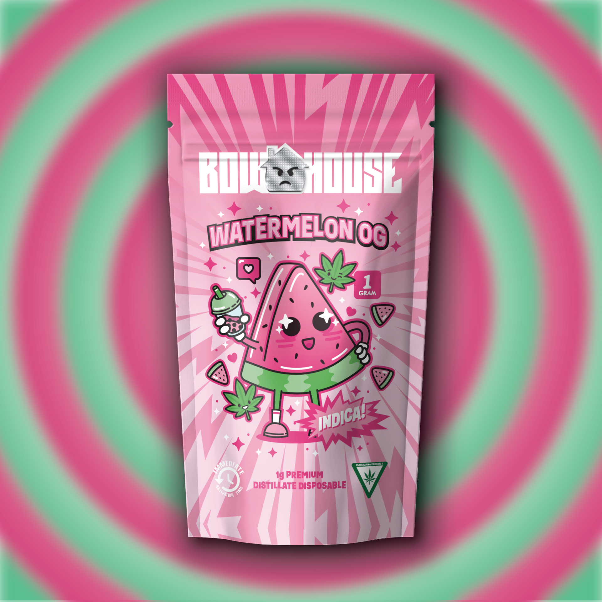WATERMELON OG | 1G DISPOSABLE