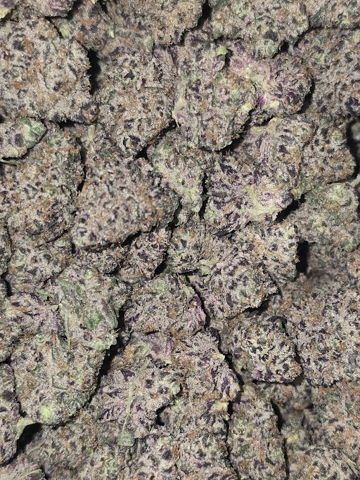 BLUEBERRY RUNTZ