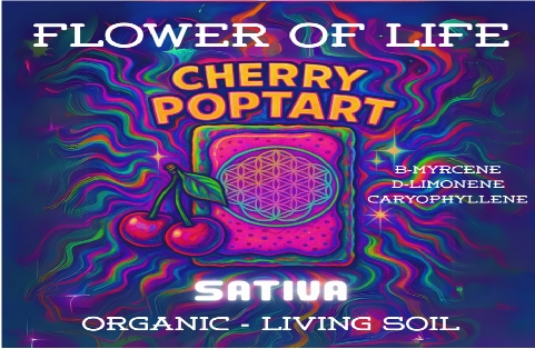 CHERRY POPTART