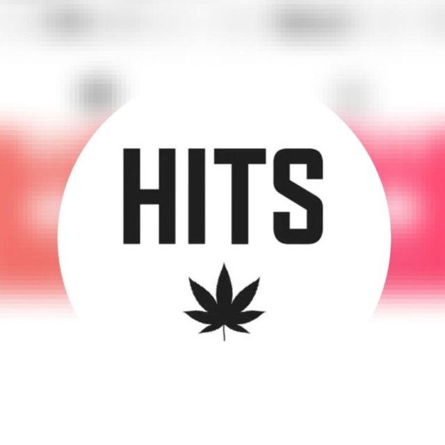 MR NICE GUY| DISTILLATE + LIVE RESIN