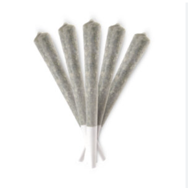 Tropic Truffle - 5 Pack