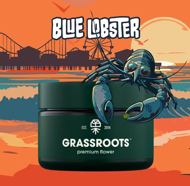 Grassroots | Blue Lobster | Diamond Flower - 3.5 g