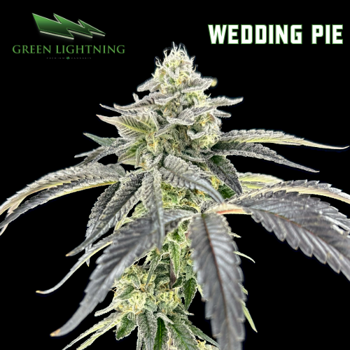 Wedding Pie