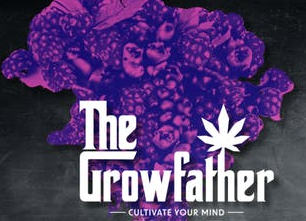 Fast Relax Grape | THC:CBN