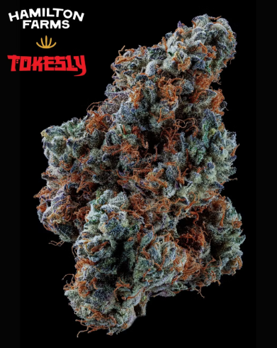 Kush Berry Burger | Tokesly