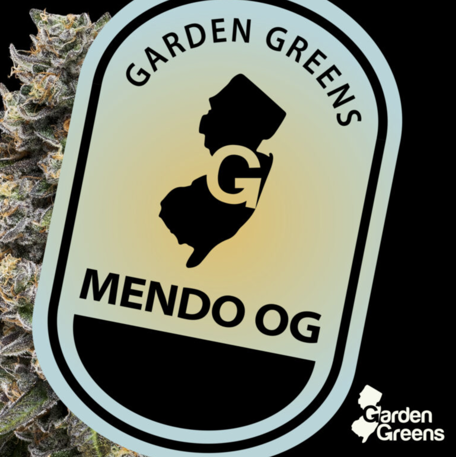 Mendo OG | Big Buds