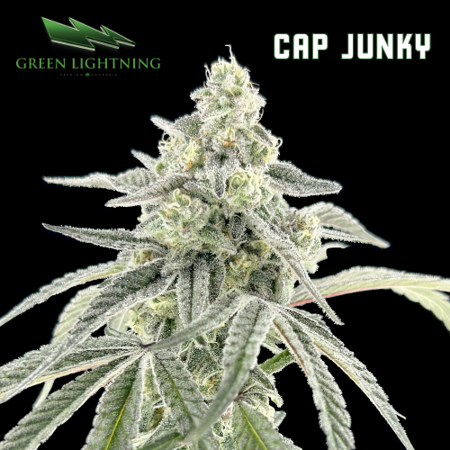 Cap Junky