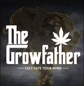 Fast Relief Watermelon Mojito | THC:CBD