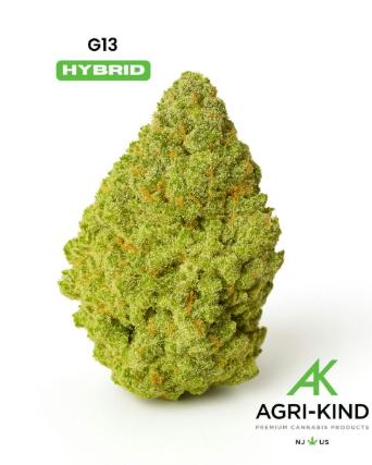 G13