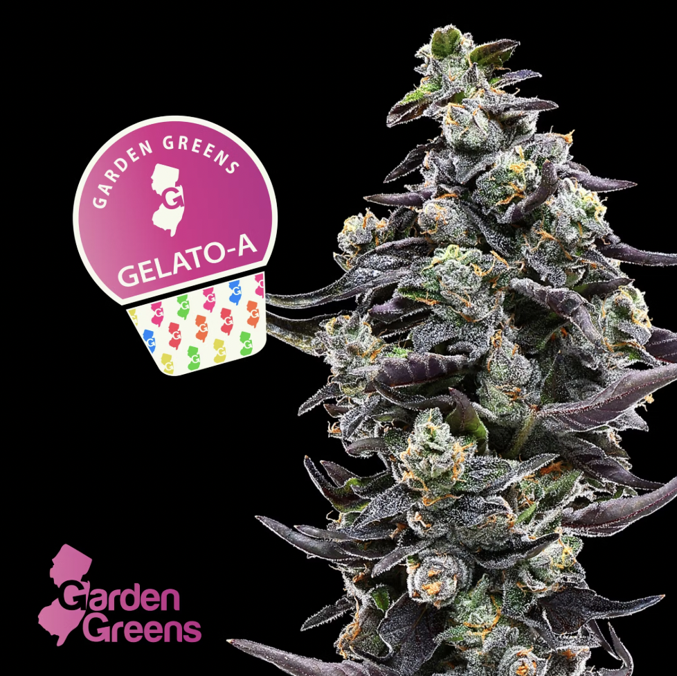 Gelato A