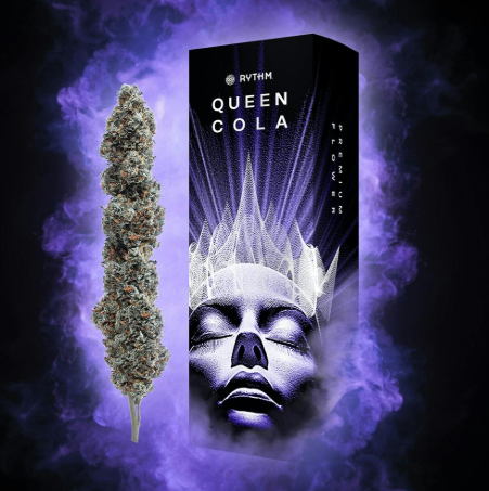 RYTHM - SOUR DIESEL - QUEEN COLA - 14 g