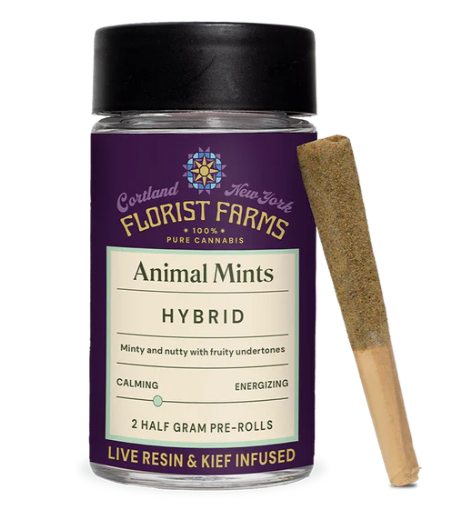 FLORIST FARMS - ANIMAL MINTS - LIVE RESIN INFUSED AND KIEF COATED - 2PK - 1 g