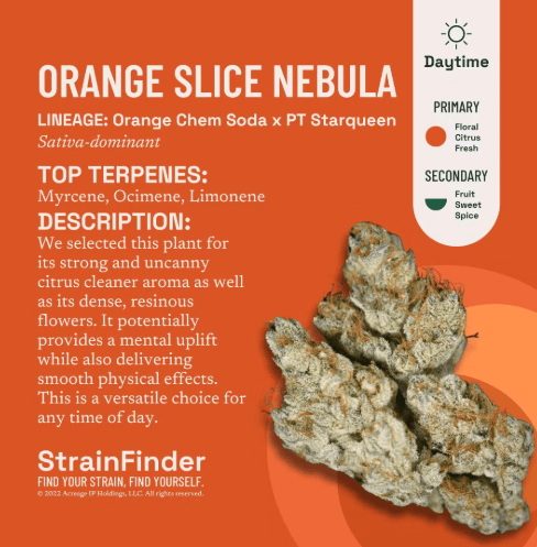 BOTANIST - ORANGE SLICE NEBULA - 3.5 g