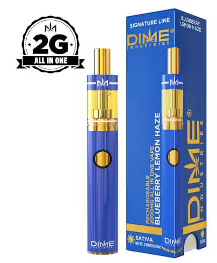 DIME - BLUEBERRY LEMON HAZE - AIO - 2G - 2 g