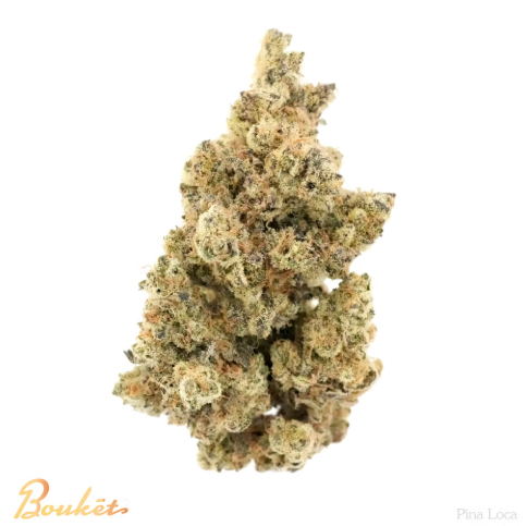 BOUKET - PINA LOCA - 4 g