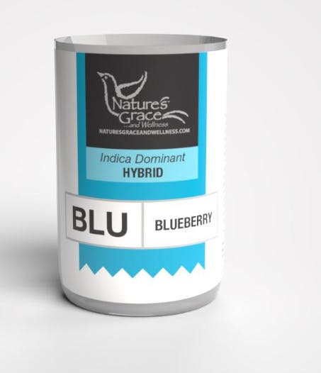 NGW - BLUEBERRY - SHAKE - 7 g