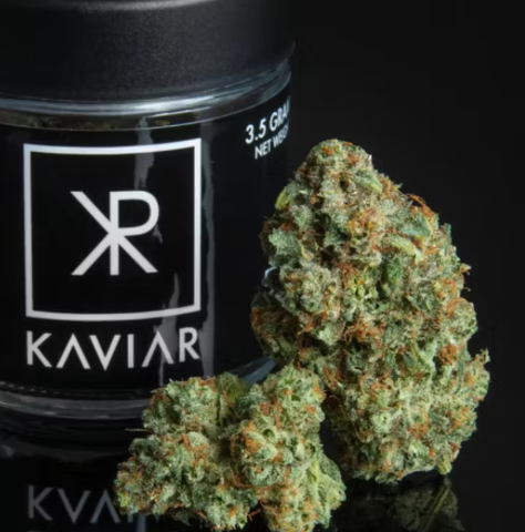 KAVIAR - BLUEBERRY DIESEL - 3.5 g