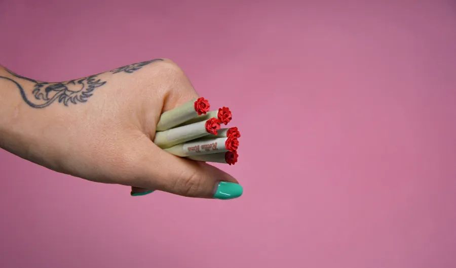 NUERA - BLACK CHERRY GELATO - PREROLL PK - 4.2 g - 6 Pack