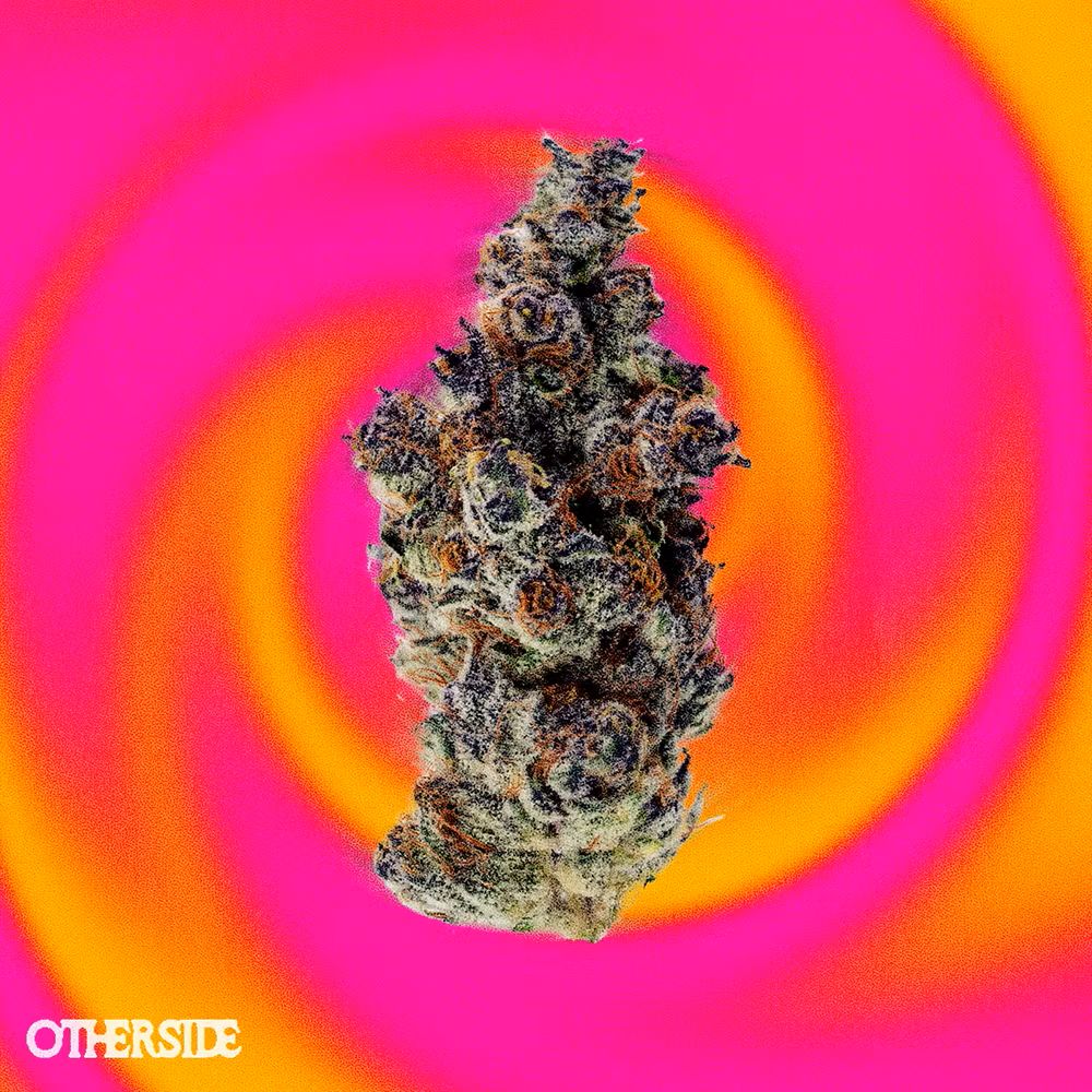 OTHERSIDE - POINT BREAK - 14 g