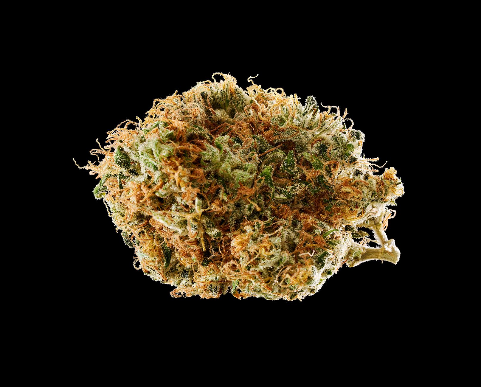 RYTHM - L'ORANGE - 7 g