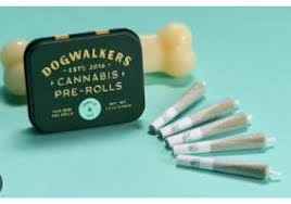 DOGWALKERS - BLACK MAPLE #22 - 1.75G (5PK) PREROLLS