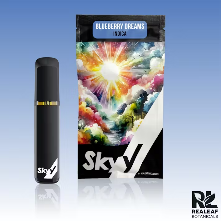 SKYY - BLUEBERRY DREAMS - 1.0G DISPOSABLE