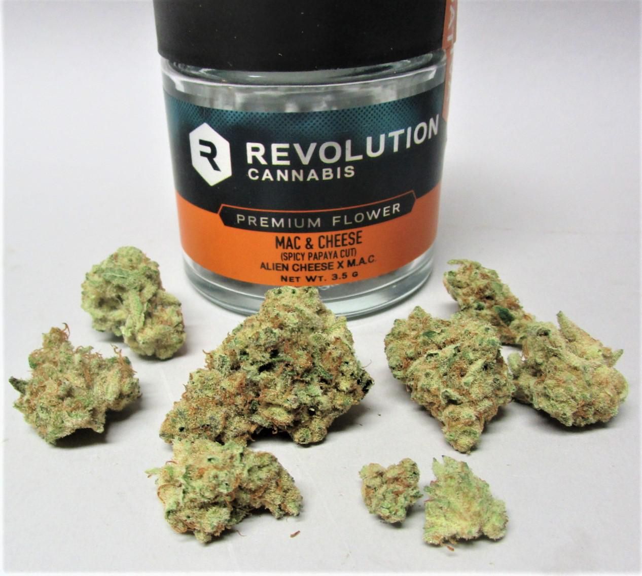 REVOLUTION - MAC AND CHEESE - 7 g