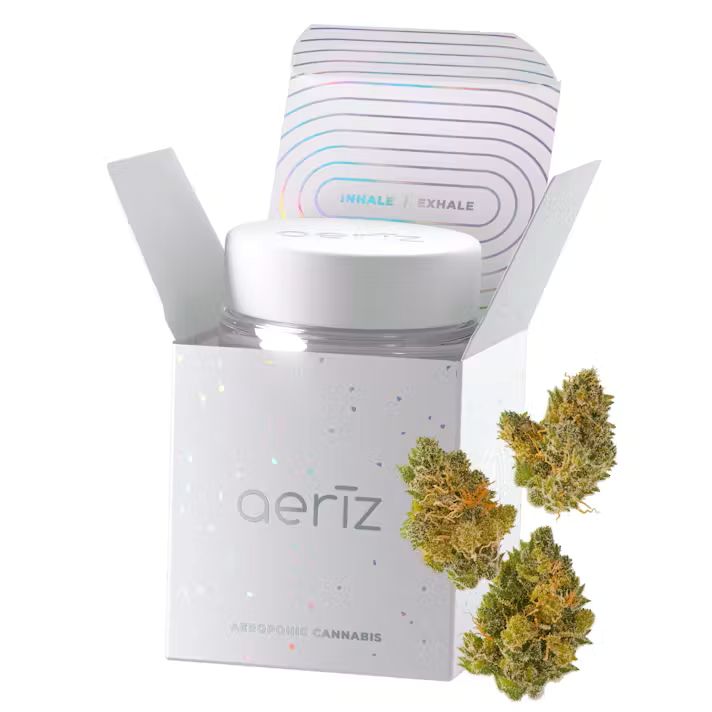 AERIZ - G TANK - 3.5 g - Promo