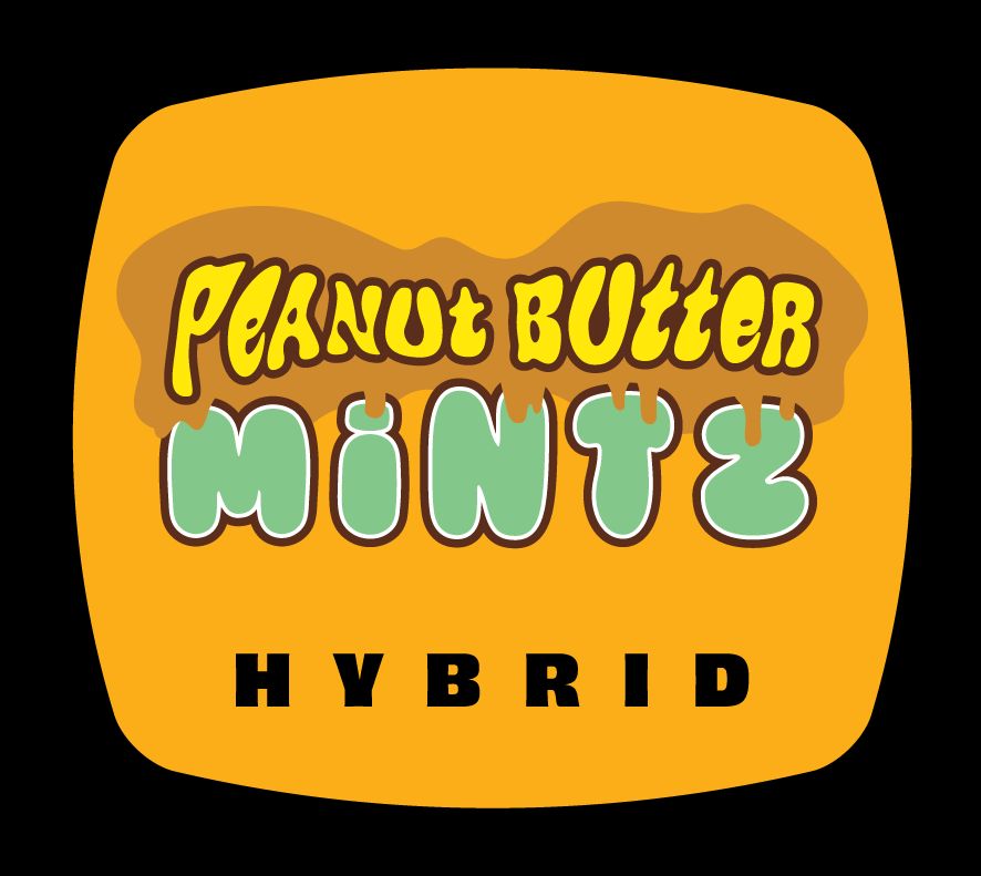 93 BOYZ - PEANUT BUTTER MINTZ - 14 g