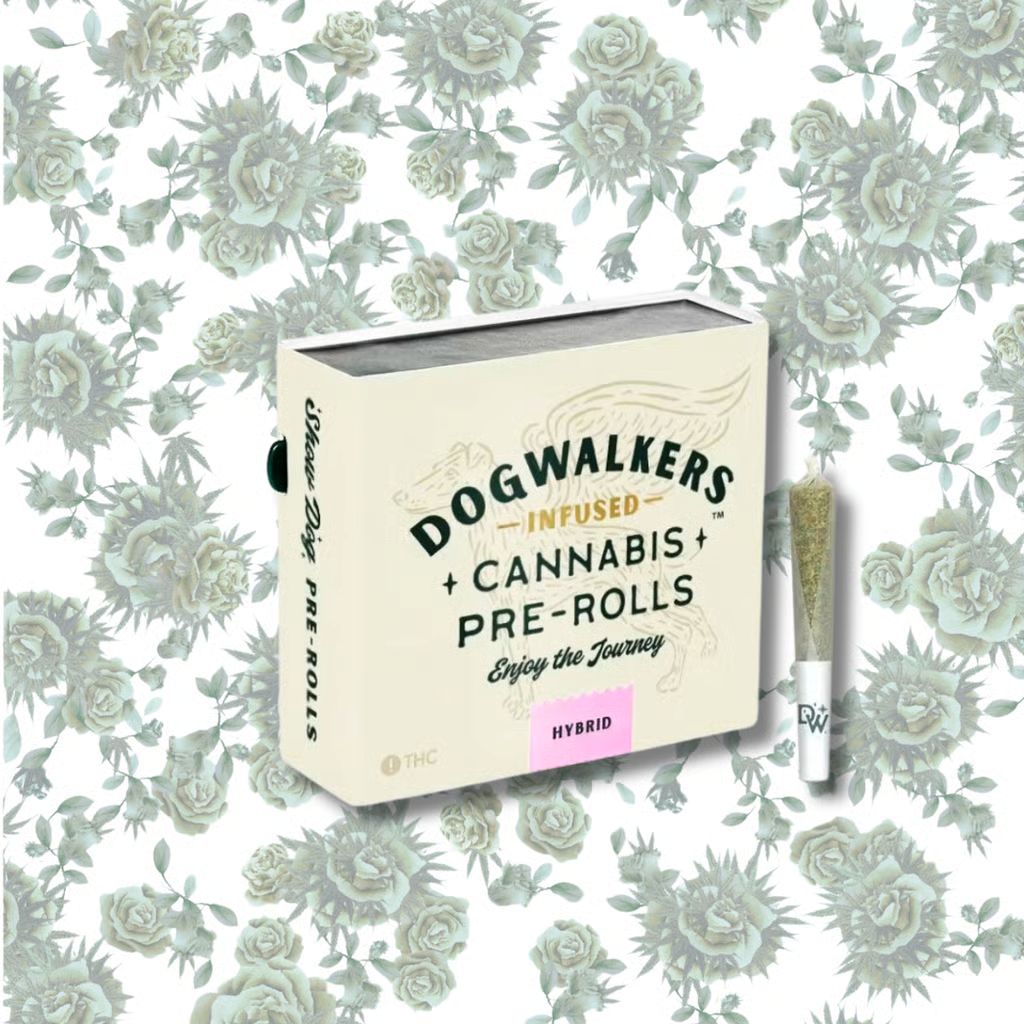 DOGWALKERS - AFTERNOON DELIGHT #4 - INFUSED PREROLL PK - 5.4 g - 12 Pack