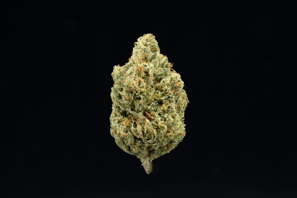 UPNORTH - HEADBAND - 3.5 g