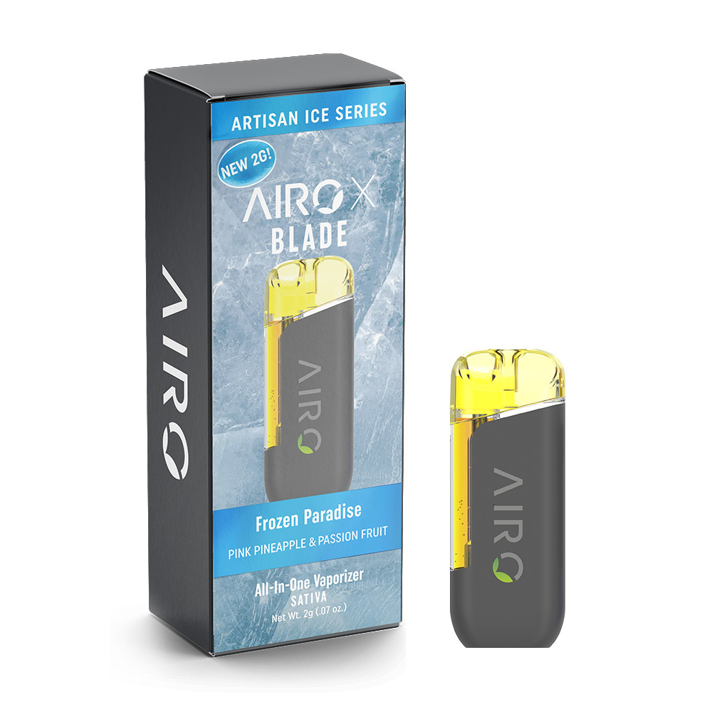 AIRO - FROZEN PARADISE - DISPOSABLE - 2 g