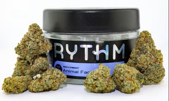 RYTHM - ANIMAL FACE - 3.5G