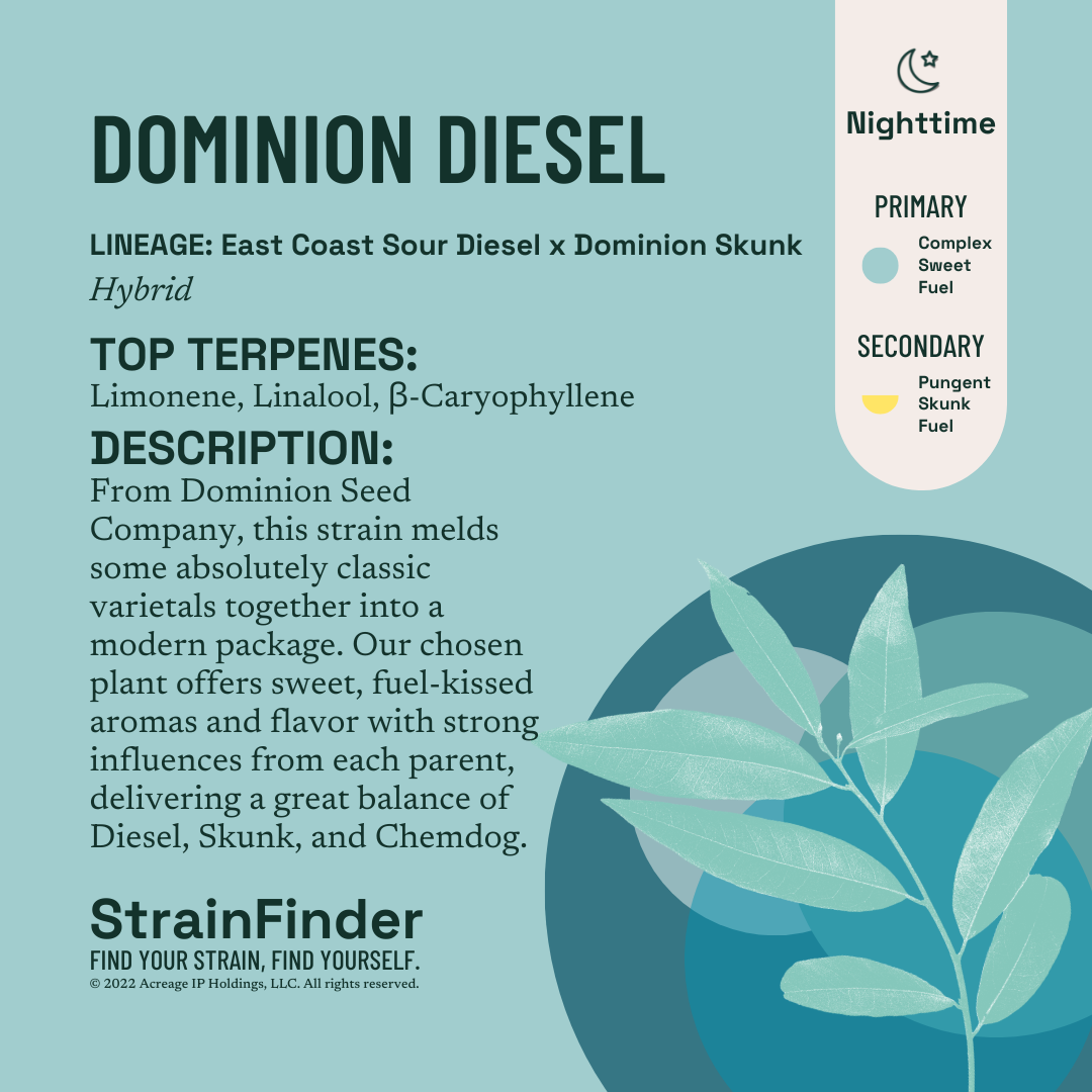 THE BOTANIST - DOMINION DIESEL - 14G