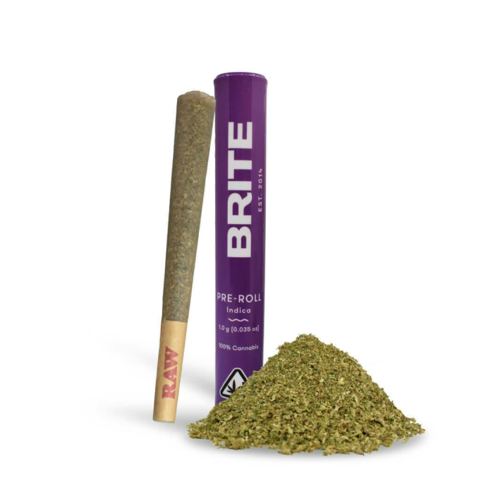 PLATINUM BIRD - 1G