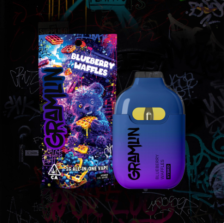 BLUEBERRY WAFFLES - AIO - 1G