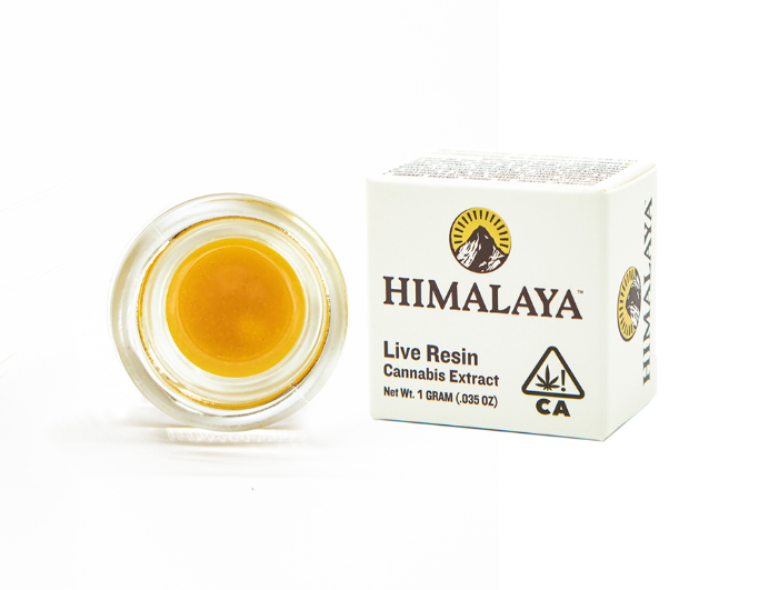 GUAVA DROPS - TERP SAUCE - 1G