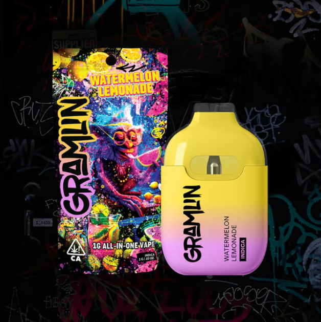 WATERMELON LEMONADE - AIO - 1G
