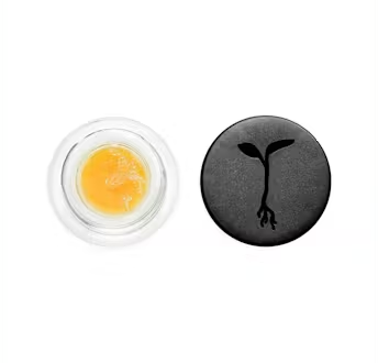GMO GLUE - 1 g