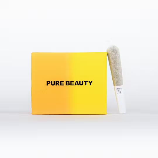 SOLVENTLESS SATIVA YELLOW BOX - 2G