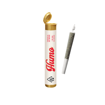 DOSIDOS - 1 g