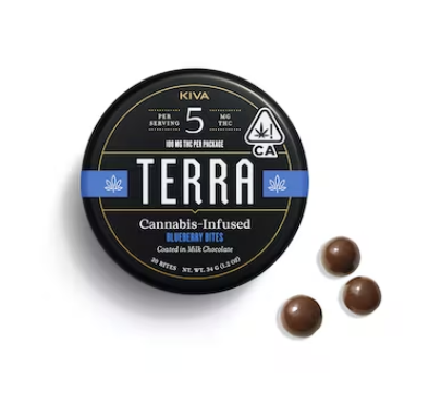 100 - CHOCOLATE BLUEBERRIES - H