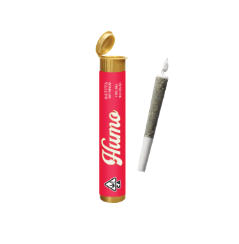 LIMONADA - 1G